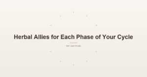 Herbal Allies for Each Phase of Your Cycle