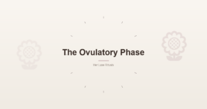 The Ovulatory Phase: Your Body's Summer Season