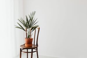 51 minimalist living tips that lead to a simple life