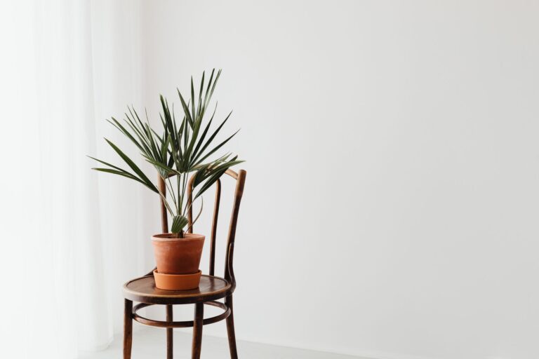 51 minimalist living tips that lead to a simple life - herluxerituals